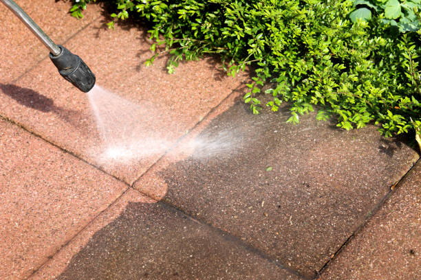 Best Roof Power Washing Services  in Milpitas, CA